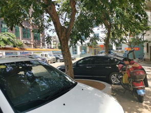 曙光工藝廠宿舍居住體驗(yàn)與周邊租賃市場(chǎng)觀察